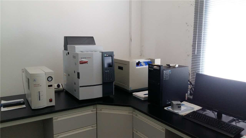 Gas Chromatograph