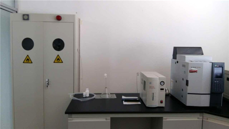 Gas Chromatograph
