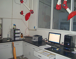 Liquid chamber